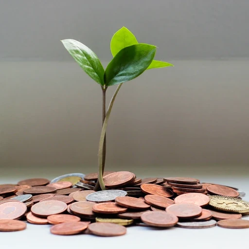 GermanZero spenden